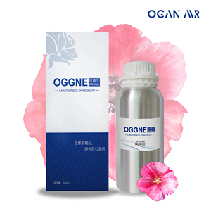 Marque originale De Haute Qualité Huile Essentielle Fournisseurs En Gros Parfum Parfum Huile Utilisée en Machine D'air De Parfum - Product Image 5