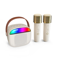 Mini karaoké personnalisé pour haut-parleur de 2,5 pouces, 2 micros sans fil, lumière RVB colorée, 6W haute puissance, portable, Android, AM/FM