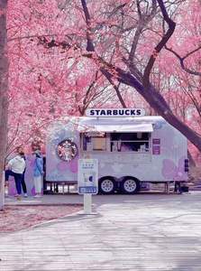 Camion de nourriture commercial Truth, concession de nourriture de rue, camion de nourriture mobile, chariot de nourriture rapide, remorque de nourriture à <span class=keywords><strong>vendre</strong></span> aux États-Unis, en Europe et en Australie - Product Image 6