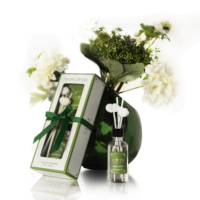 HongYu nouveau diffuseur de parfum sans flamme de conception de plâtre créatif diffuseur de roseau longue durée pour chambre salle de bain