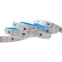Bande LED RGB adressable 12V/24V 5050 120 LED/m double rangée 20mm de large avec fonction de reprise à un point de rupture et effet de poursuite étanche