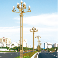 Éclairage intelligent personnalisable et série d'éclairage solaire lampadaires: avec droits de propriété intellectuelle indépendants