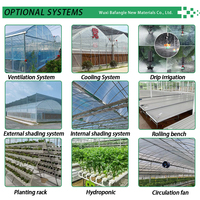 Grande serre agricole automatique hydroponique pour la plantation de fraises, multi-spans, avec couverture en film mince connectée