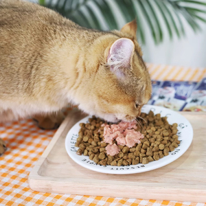 Nourriture <span class=keywords><strong>pour</strong></span> animaux de compagnie OEM ODM, best-seller, livraison rapide, nourriture humide <span class=keywords><strong>pour</strong></span> chats riche en jus, hypoallergénique, en forme de soupe - Product Image 3