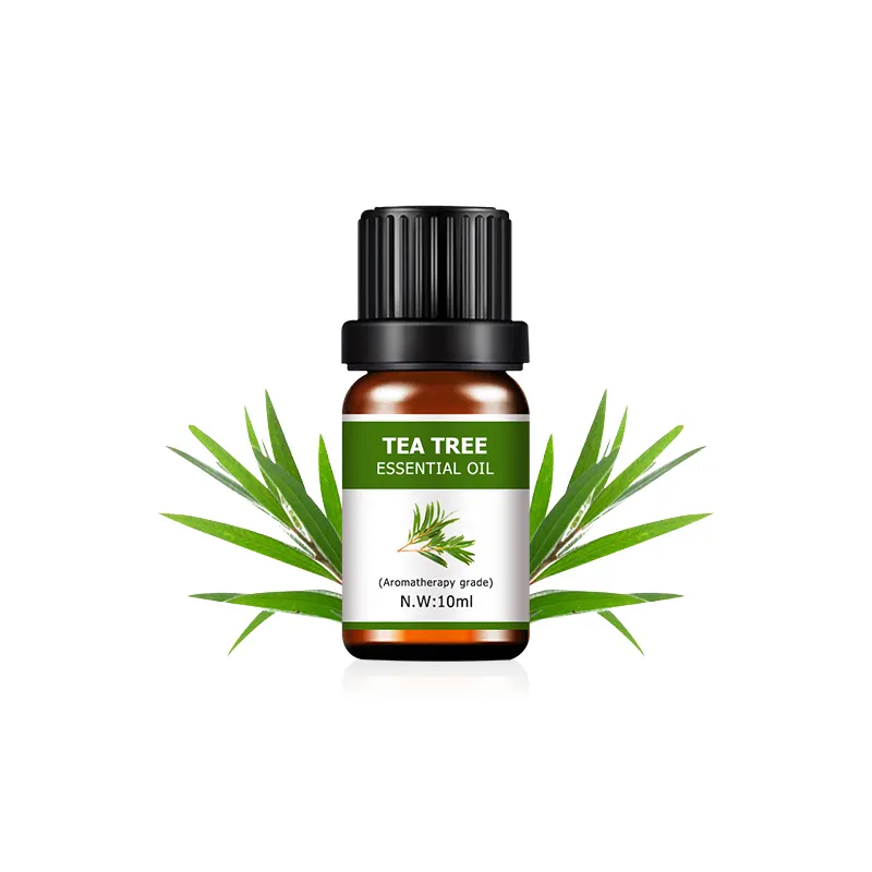 Comestível grau planta extrato Tea Tree óleo 100% natural da árvore do chá óleo de especiarias aditivo alimentar