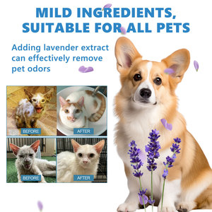 Ecológico, 20ml, lavado corporal de animales pequeños y desodorante <span class=keywords><strong>para</strong></span> <span class=keywords><strong>gatos</strong></span>, suero Exfoliante <span class=keywords><strong>para</strong></span> dejar <span class=keywords><strong>en</strong></span> el <span class=keywords><strong>baño</strong></span>, limpieza <span class=keywords><strong>en</strong></span> <span class=keywords><strong>seco</strong></span> <span class=keywords><strong>para</strong></span> mascotas, hecho de plástico - Product Image 2