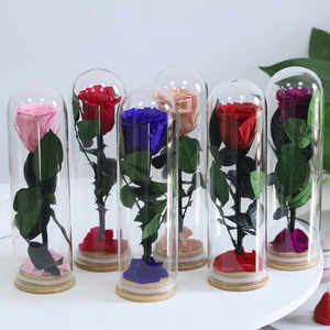 Roses éternelles personnalisées sous cloche en verre pour cadeaux romantiques de Noël <span class=keywords><strong>et</strong></span> de <span class=keywords><strong>la</strong></span> Fête des Mères - Product Image 4