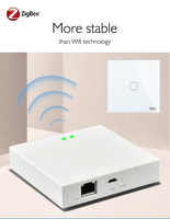 Smartdust AU US Kaca Temper 2 Gang 1 Jalur Otomatisasi Rumah Tuya Zigbee 3.0 Smart Electric Case Wall WIFI Switch