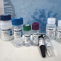 Kit de Detección del Virus Nipah por PCR Compatible con ABI/Bio-Rad/Roche, Cumple con los Estándares Oficiales