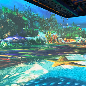 Захватывающий опыт океанская проекция 360 видеопроектор 3D захватывающая комната - Product Image 1