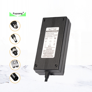 Fuyuang Mới Nhất 12V 24V 48V 60V 72V Lithium Chì Axit Lifepo4 Xe Tay Ga Điện Sạc Xe Đạp - Product Image 2