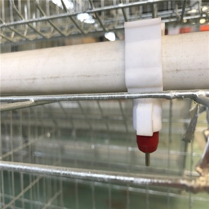 Chine <span class=keywords><strong>cage</strong></span> de poulet fabricants conception <span class=keywords><strong>cage</strong></span> à poulet pour la <span class=keywords><strong>couche</strong></span> - Product Image 5