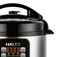 Cuisinière électrique intelligente multifonctionnelle HALEY, fabrication directe en usine, OEM/ODM, pour les essentiels de la maison