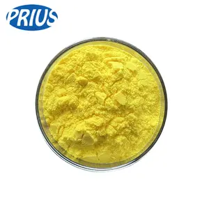 High Quality Mango Juice Powder Extract Freeze Dried Mango Powder Pure Mango Fruit Powder