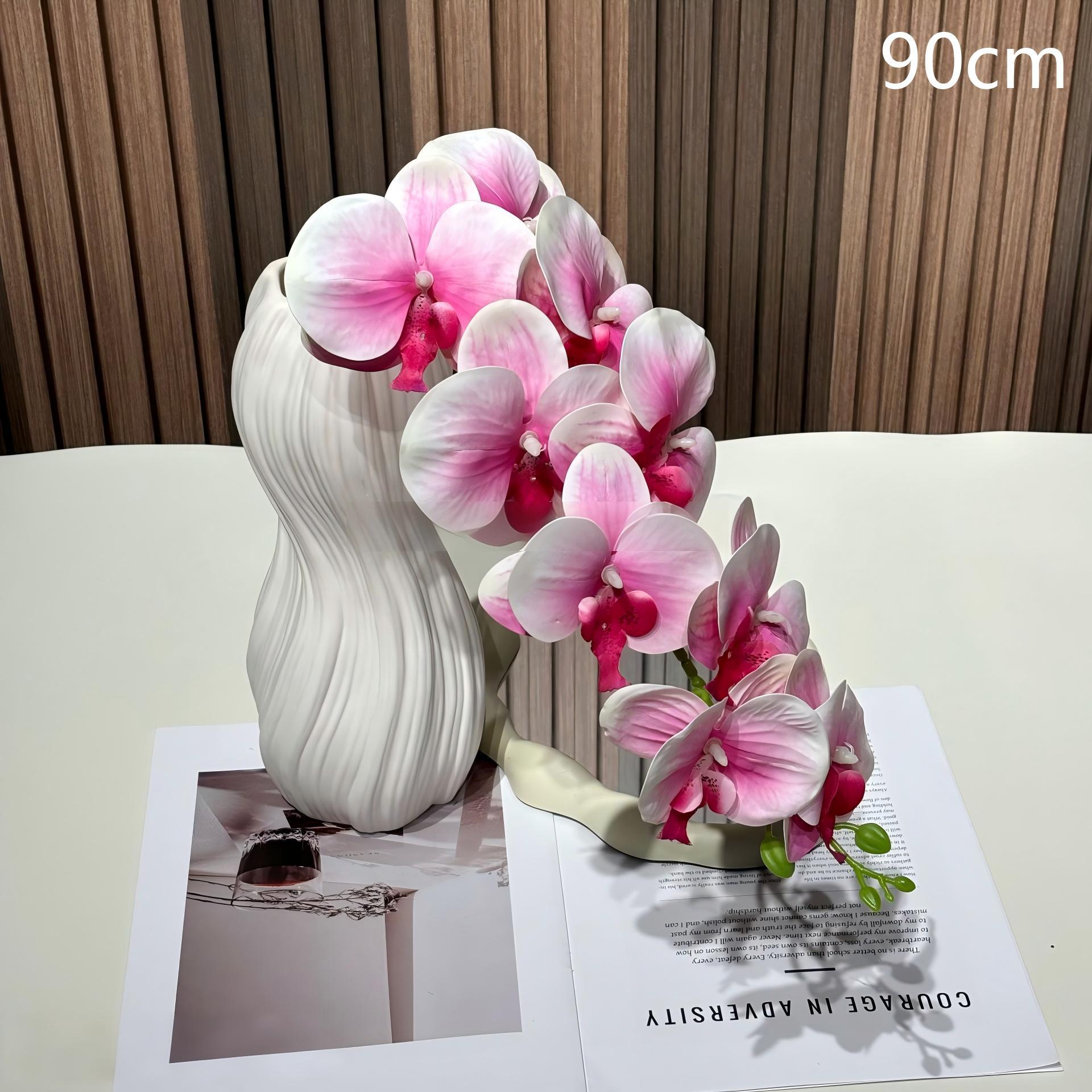 #2 Phalaenopsis a 9 teste - Rosa Bianco