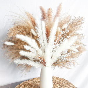 Fleurs séchées artisanales transfrontalières, décoration bohème en pampas, roseau DIY, herbe à queue de lapin, feuilles d'eucalyptus mélangées non teintes - Product Image 4