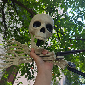 Decoración de esqueleto de Halloween, accesorio de talla única para disfraz de fiesta, sesiones de fotos - Product Image 1