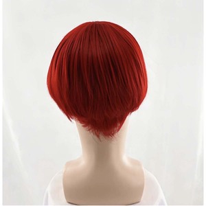 วิกผมคอสเพลย์ <span class=keywords><strong>Iori</strong></span> Yagami จากเกม The King of Fighters'97 สีแดงไวน์สั้น ทนความร้อน สำหรับผู้ชาย รุ่น GAHC-113 - Product Image 4