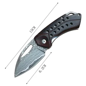 Pliant Premium Wasp VG10 en acier, couteau de survie tactique d'extérieur, damas avec manche en bois