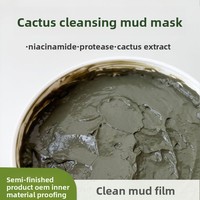 Masque de boue de cactus pour le soin du visage et l'hydratation, masque de boue semi-fini pour utilisation en salon de beauté