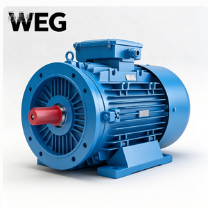 Motores Weg Motor Machine W22 de Hierro Fundido, 55KW, 1465RPM, IMB3/IMB5, Totalmente Cerrados, IP55, Motores de Inducción Trifásicos de CA - Product Image 5