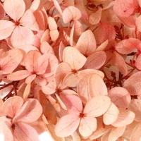 Anna Hydrangea 20g Pack Bahan Bunga DIY Hari Guru Daun Kecil Kotak Bunga Hydrangea Bunga Kering Bunga Abadi Hydrangea