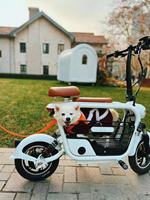 Poussette pour animaux de compagnie, scooter électrique pour chien, vélo électrique avec porte-animaux, scooter chopper, scooter électrique