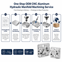 Placa de Colector de Válvulas Hidráulicas de Aluminio 6061-T6, Fabricación CNC Personalizada OEM, Equipos Industriales, Canales de Flujo Internos, Roscas para Tuberías