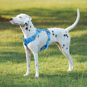 Pabrik desain baru rompi anjing mewah <span class=keywords><strong>Harness</strong></span> - <span class=keywords><strong>OEM</strong></span> kustom Padded reflektif, aman hewan peliharaan nyaman perlengkapan - Product Image 1
