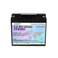 Batterie au phosphate de fer et de lithium sans entretien FirstPower FPLi12.820 12,8 V 20 Ah, remplacement direct de la batterie au plomb-acide
