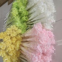 Fabrieks prijs natuurlijke gedroogde geconserveerde steranijs trompetbloemen boeketten - Eeuwige bloem directe groothandel
