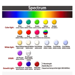 5 mét <span class=keywords><strong>Led</strong></span> Diode tín hiệu ánh sáng loại sản phẩm ánh sáng phát ra đèn <span class=keywords><strong>LED</strong></span> - Product Image 6