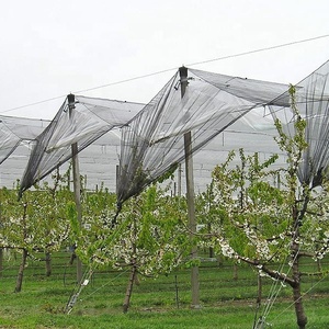 Fabrika toptan dolu koruma <span class=keywords><strong>net</strong></span> Tarım için - Product Image 3