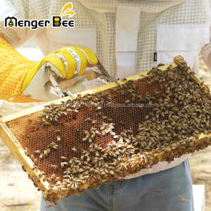 Nuevo Kit de Cosecha de Miel Menger: Incluye Pinza para Cuadros, Horquilla Desoperculadora, Herramienta para Colmenas y Cepillo para Abejas - 2 Años de Garantía - Product Image 3