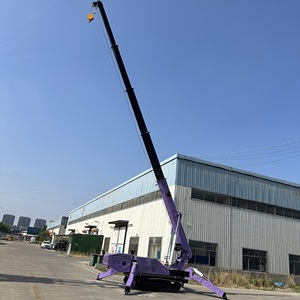 เครนแบบใช้ไฟฟ้าทาน้ำมันเครื่องยนต์ดีเซลแบบสองหัวขนาด18เมตร8ton เครนตีนตะขาบ - Product Image 6