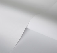 Rouleau de toile polyester mate imperméable de grande taille 280 g/m² pour galerie d'art
