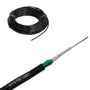 2 / 4 / 6 / 8 / 12 / 16 / 24 Core Single Mode G652D Fiber Outdoor Armored GYXTW Fiber Optic Cable