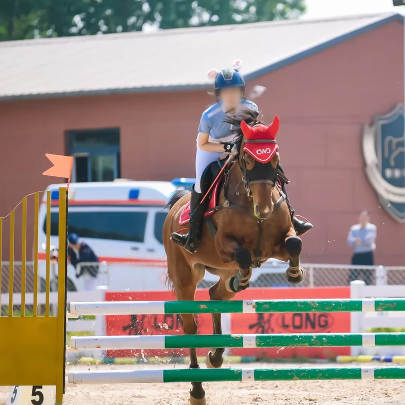 Professional High Quality PVC Horse Jump