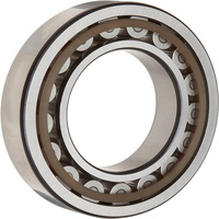 Roulements à rouleaux cylindriques miniatures MA 5216 EL MA 5217 EL d'usine chinoise de haute qualité