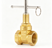 Vanne de clôture manuelle en laiton verrouillable, Vanne d'isolement pour compteur d'eau / Vanne de pré-compteur, Raccord fileté femelle, PN16, 1/2in-2in, OEM
