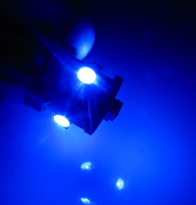 PURPLE # Bombillas LED BA9S Ultra Brillantes de 5 LED y 6.3 Voltios para Pinball, 906 44 47 - Product Image 6