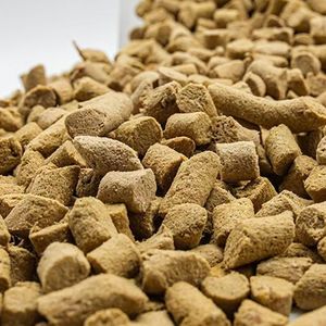 Thức ăn thú cưng đông khô hỗn hợp OEM ODM bán buôn, gan vịt đông khô, lòng đỏ trứng đông khô, đồ ăn vặt đông khô cho mèo và chó, thịt gà đông khô - Product Image 6