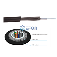 Câble à fibres optiques souterrain GYXTY 8F 24 fils 48FO, câble à fibres optiques monomode 12 cœurs G652D, câble à fibres optiques blindé en acier