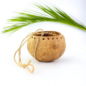 Maceta de Cáscara de Coco Natural para Fiestas, Biodegradable y Ecológica, de Eco2go Vietnam - Product Image 1
