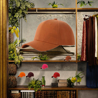 Gorra de Béisbol Personalizada de Moda en Oferta, Bordada a Mano con Lazos Populares, Diseños Argyle, Frutas, Espiga, Jersey, Encaje y Popelina para Negocios
