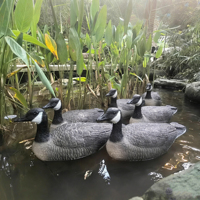 Décoy de canard noir et blanc recyclable, flottant, étanche, en mousse EVA, pour étang, lac, décoration extérieure, statue, accessoire de chasse