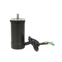 Moteur CC sans balais personnalisable d'usine chinoise S57BL115-230-008D 57mm 24V 48V 3000 tr/min 140W à aimant permanent pour robot de maison intelligente