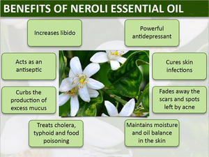 Huile Essentielle <span class=keywords><strong>de</strong></span> Néroli <span class=keywords><strong>de</strong></span> Luxe pour Soins <span class=keywords><strong>de</strong></span> la Peau d'Élite Anti-Âge, Réductrice <span class=keywords><strong>de</strong></span> Cicatrices, 100% Pure Distillée à la Vapeur pour la Fabrication Cosmétique - Product Image 6