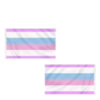 Drapeau de la fierté Femboy rose foncé et bleu clair 3x5 pieds en polyester personnalisé, prêt à être expédié, vente en gros, personnalisable pour événements nationaux