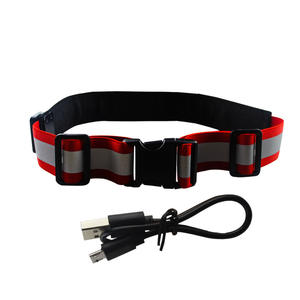 Flash nocturno <span class=keywords><strong>de</strong></span> carga Usb con luz Led celosía <span class=keywords><strong>de</strong></span> cristal cinturón <span class=keywords><strong>de</strong></span> carrera nocturna que brilla en la oscuridad cinturón <span class=keywords><strong>de</strong></span> ciclismo suministros <span class=keywords><strong>de</strong></span> equitación - Product Image 3